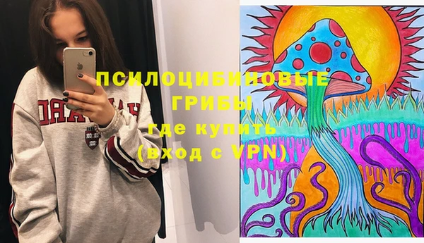 бошки Алзамай